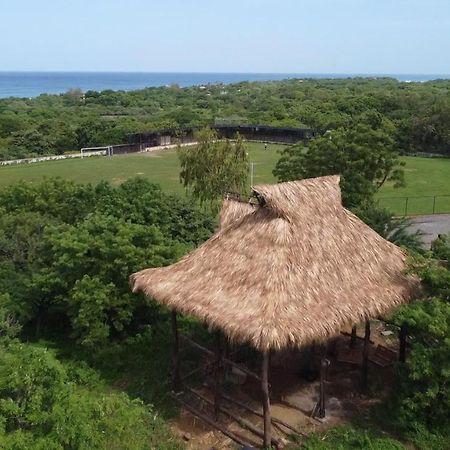 Palapa Hostel Transito المظهر الخارجي الصورة