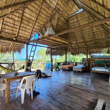 Palapa Hostel Transito المظهر الخارجي الصورة