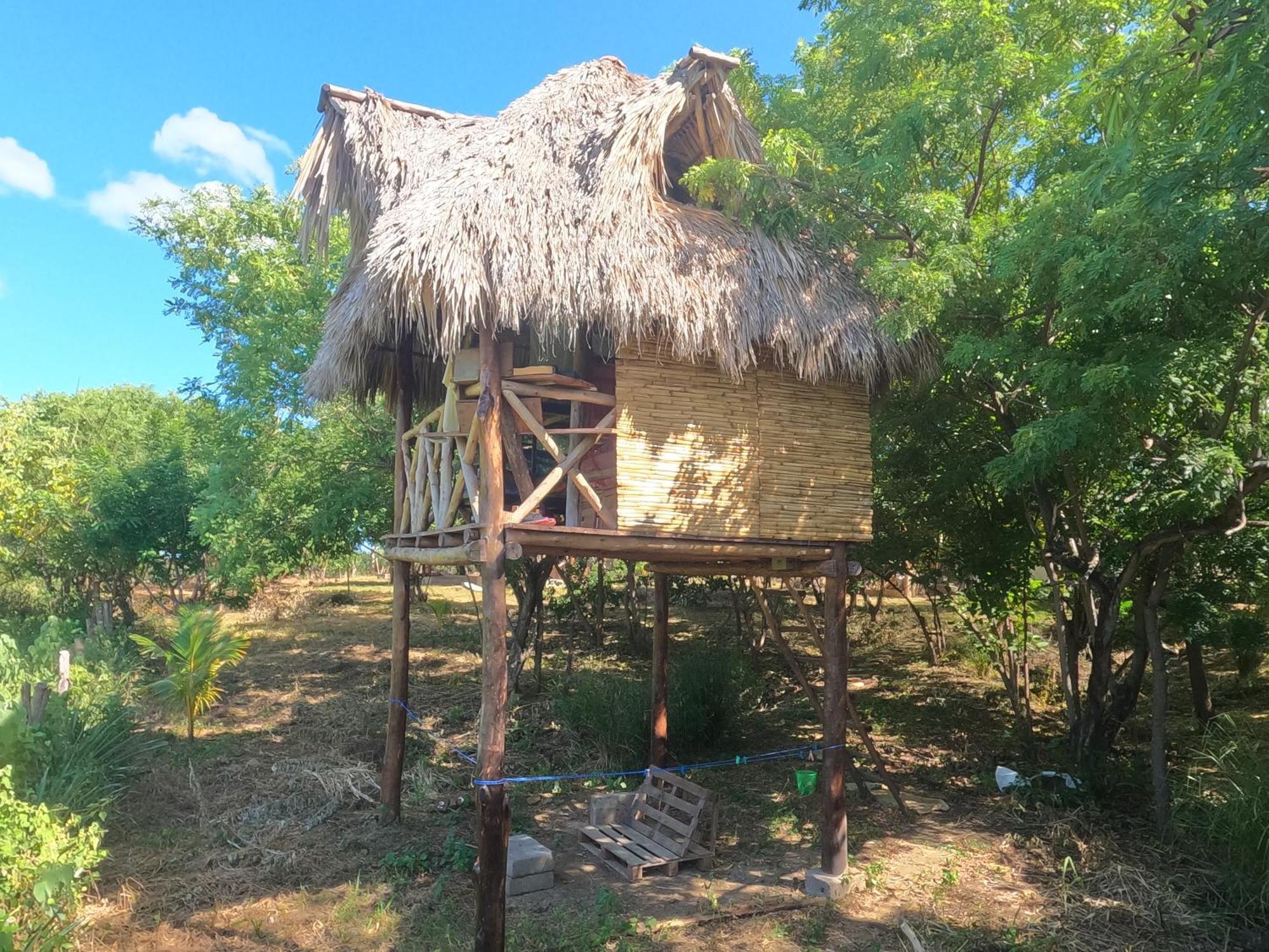 Palapa Hostel Transito المظهر الخارجي الصورة