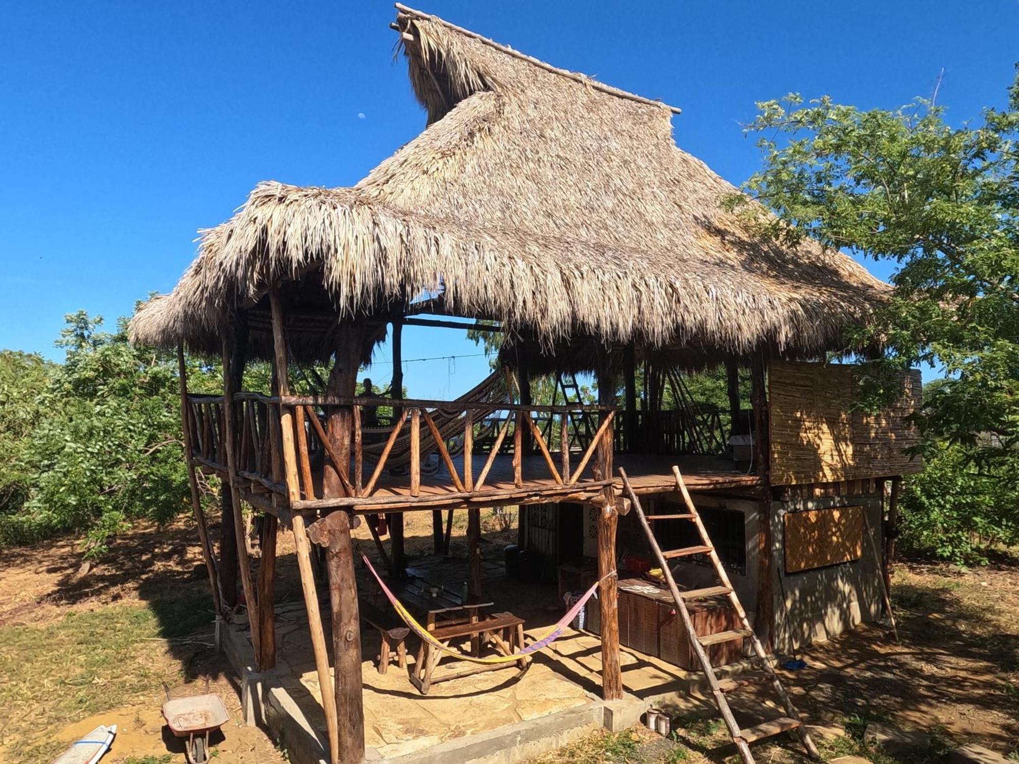 Palapa Hostel Transito المظهر الخارجي الصورة