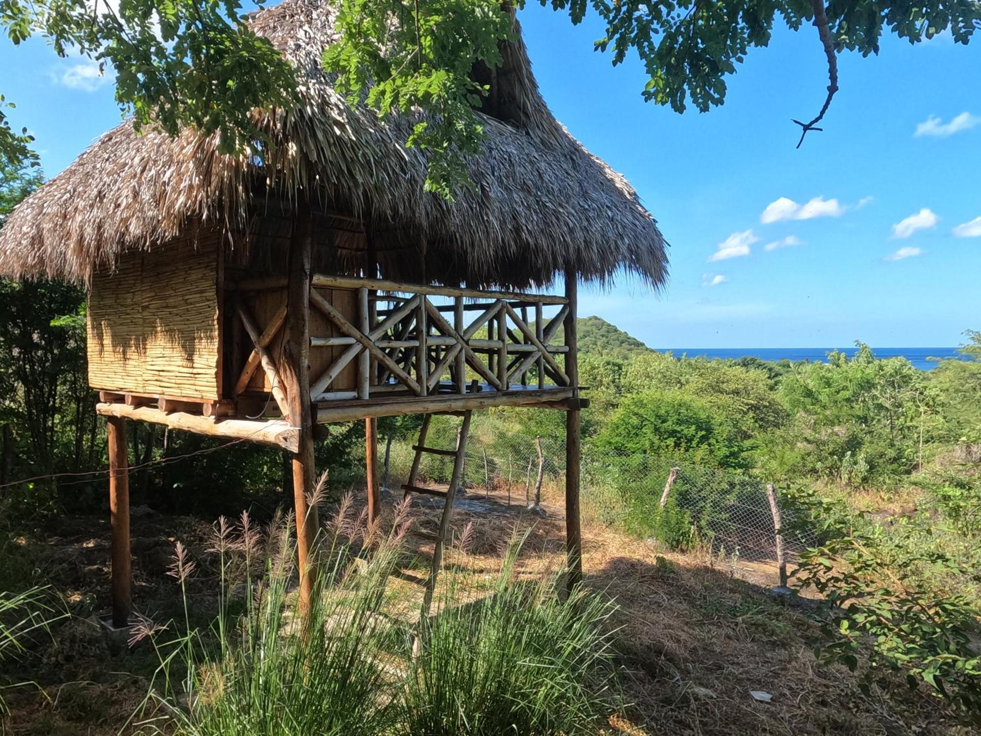 Palapa Hostel Transito المظهر الخارجي الصورة