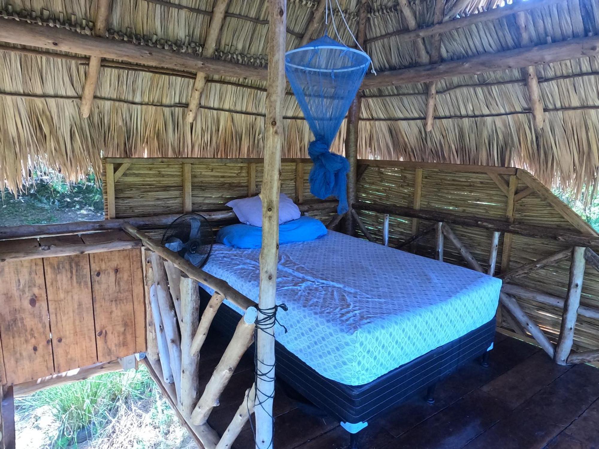 Palapa Hostel Transito المظهر الخارجي الصورة