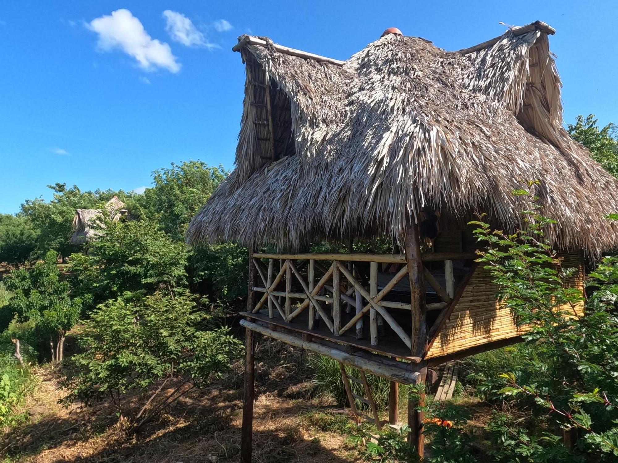 Palapa Hostel Transito المظهر الخارجي الصورة