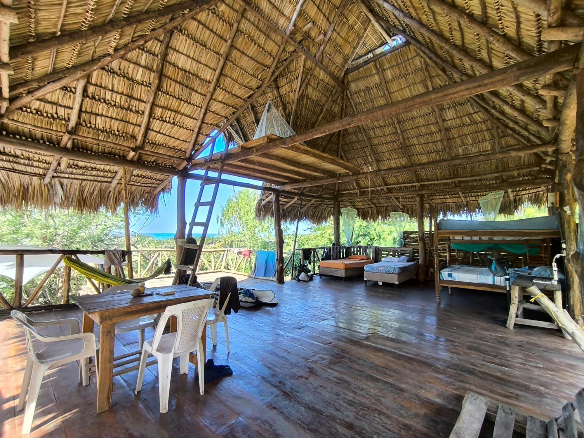 Palapa Hostel Transito المظهر الخارجي الصورة