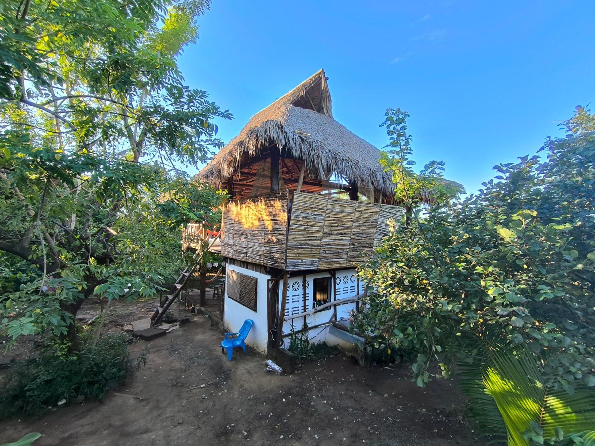 Palapa Hostel Transito المظهر الخارجي الصورة