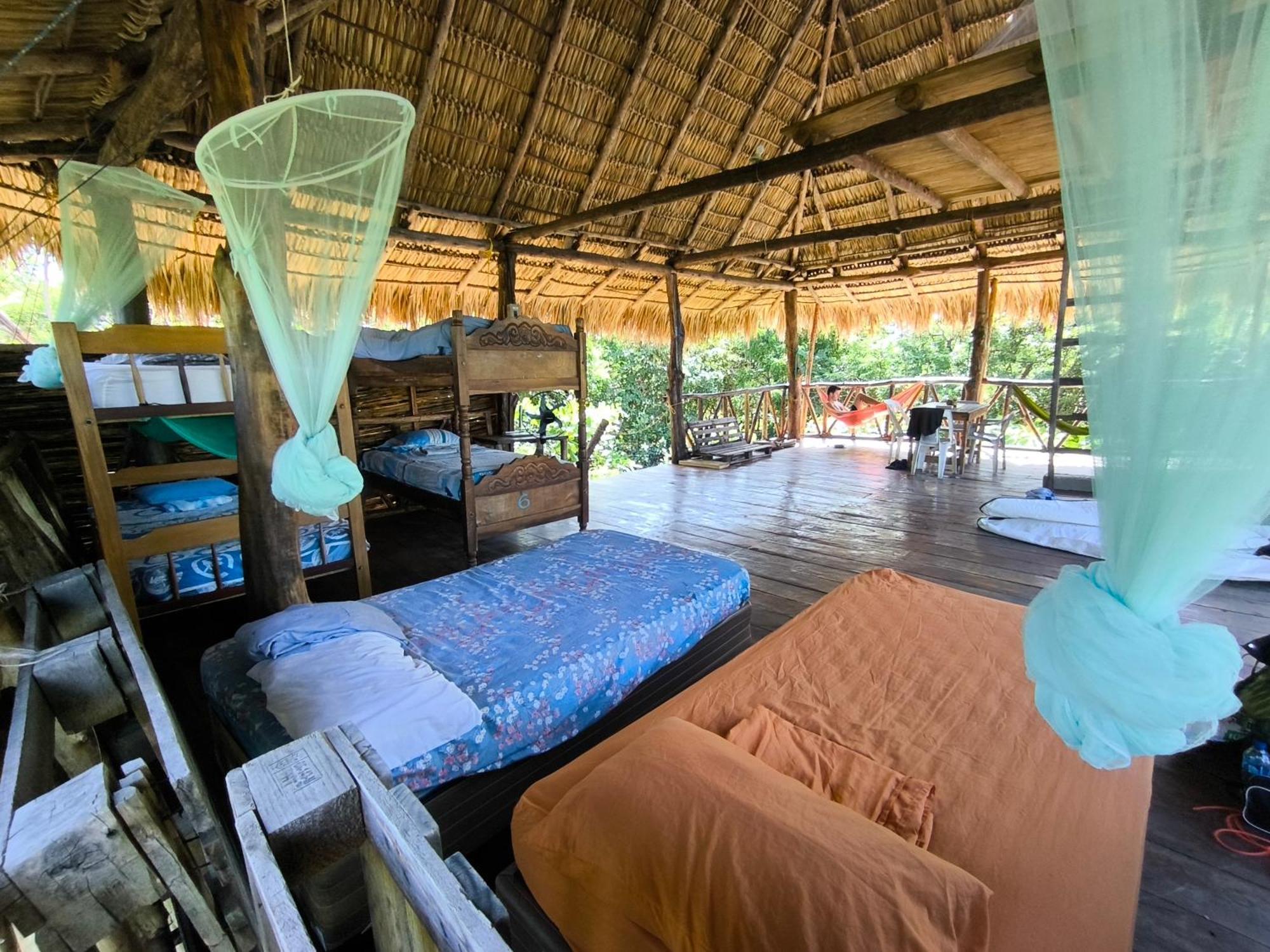 Palapa Hostel Transito المظهر الخارجي الصورة