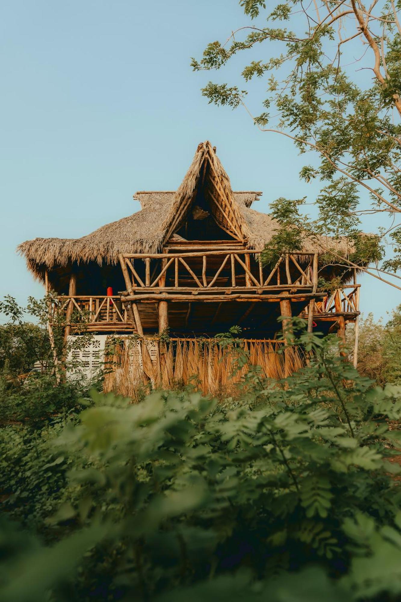Palapa Hostel Transito المظهر الخارجي الصورة