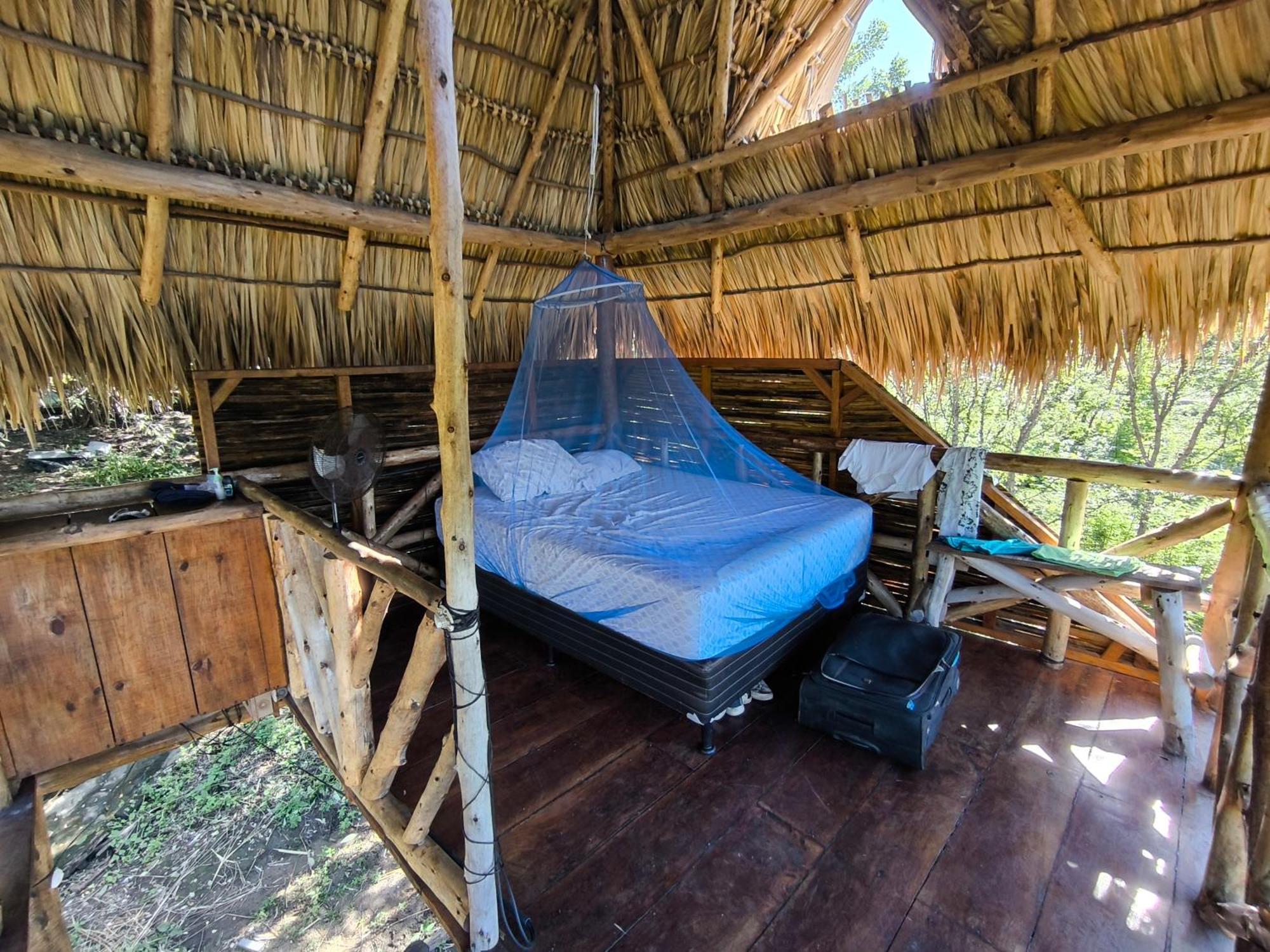 Palapa Hostel Transito المظهر الخارجي الصورة