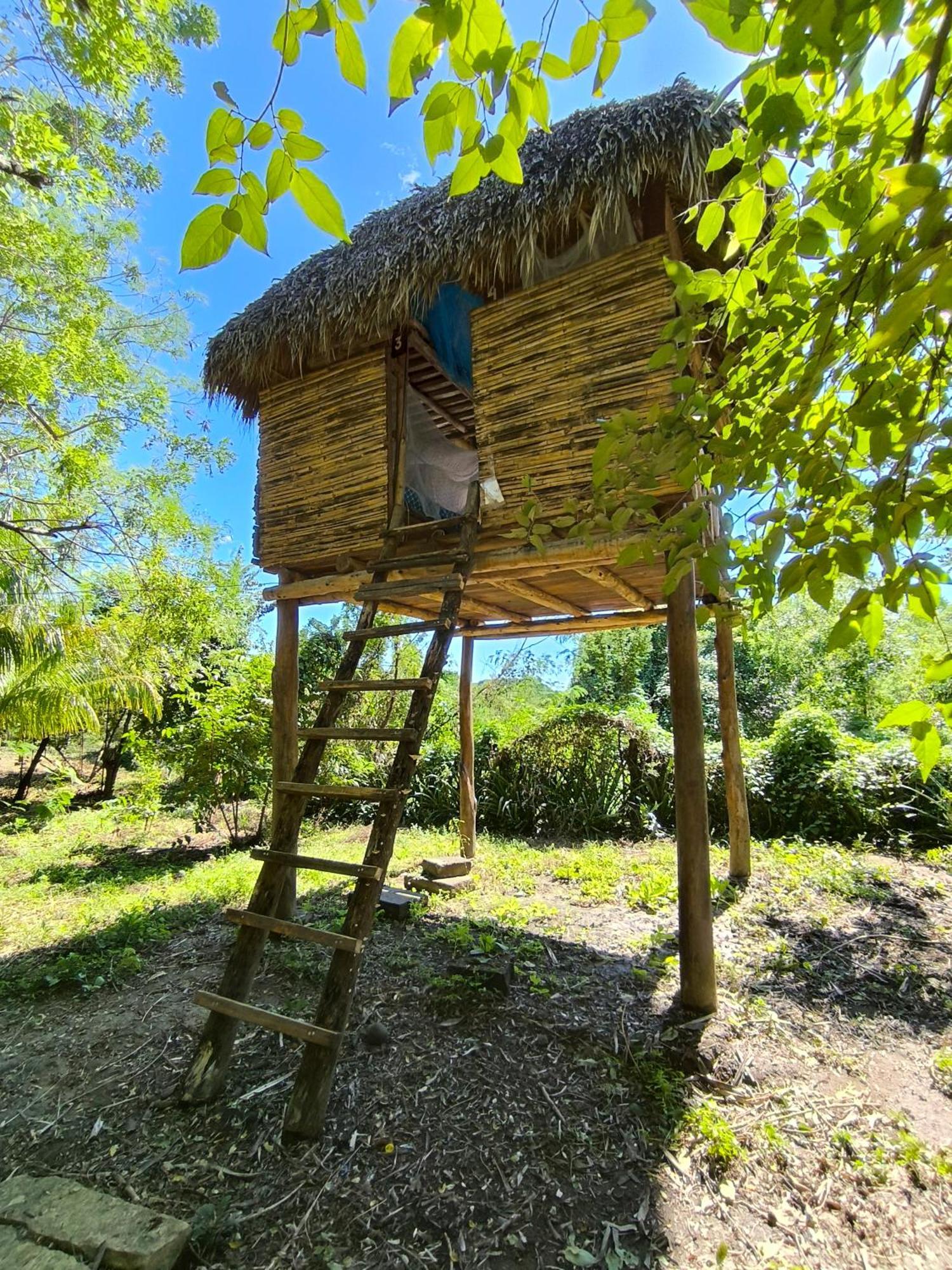 Palapa Hostel Transito المظهر الخارجي الصورة